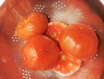 tomaat-garnaal 2.0