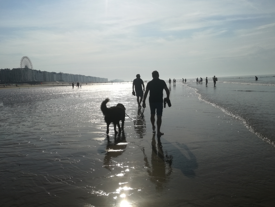 Nieuwpoort Vitamine Zee