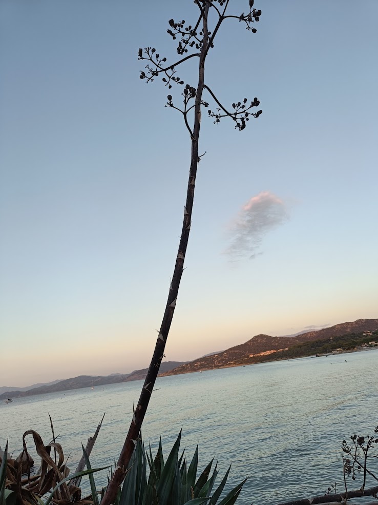 Ile Rousse Corsica